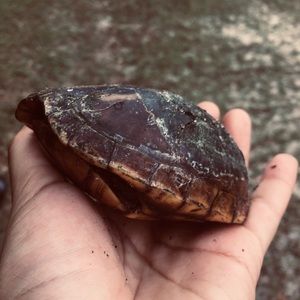 Meet your Posher, Joana